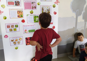 Uczeń czyta informację o jabłku